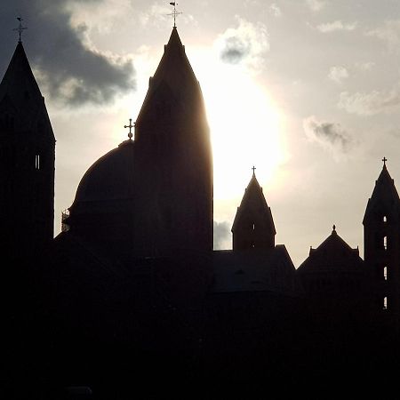 Wohnen Direkt Am Rhein, Zentrums- Und Domnah, 55Qm Daire Speyer Dış mekan fotoğraf
