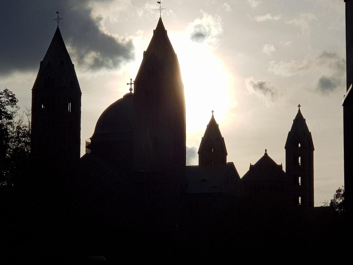 Wohnen Direkt Am Rhein, Zentrums- Und Domnah, 55Qm Daire Speyer Dış mekan fotoğraf