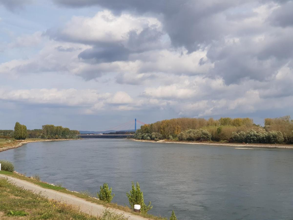 Wohnen Direkt Am Rhein, Zentrums- Und Domnah, 55Qm Daire Speyer Dış mekan fotoğraf